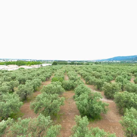 Apartment 1141 Mas Oliva - Apivend Immo